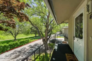 Photo #5: 250050251 Listing