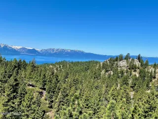 Photo #2: 250050606 Listing