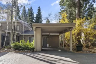 Photo #1: 250050611 Listing