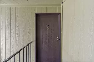 Photo #1: 250050623 Listing 