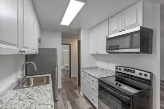 Photo #5: 250050623 Listing 