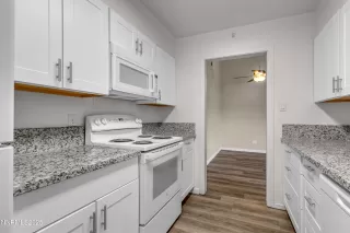 Photo #5: 250051452 Listing