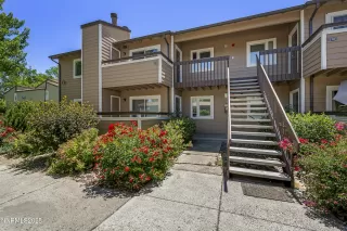 Photo #1: 250052000 Listing 