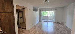 Photo #4: 250052501 Listing