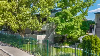 Photo #1: 250052952 Listing 