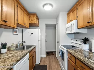 Photo #6: 250053099 Listing