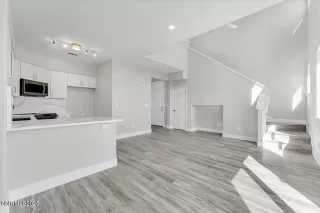 Photo #5: 250053497 Listing 