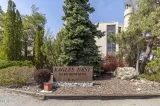 Primary Photo for MLS#: 250054281