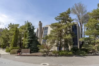 Photo #1: 250054281 Listing