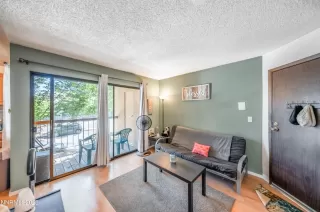 Photo #1: 250054289 Listing