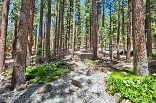 Photo #3: 250054331 Listing 