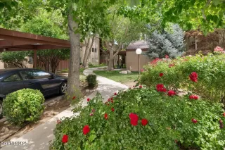 Photo #3: 250054477 Listing 