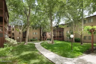 Photo #5: 250054477 Listing 