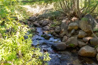 Photo #6: 250054905 Listing 