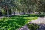 Primary Photo for MLS#: 250055477