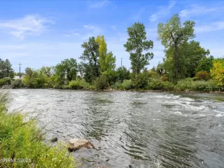 Photo #5: 250055746 Listing