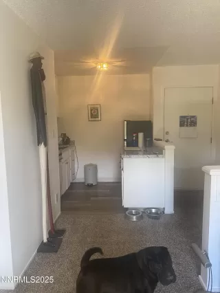 Photo #5: 250055886 Listing