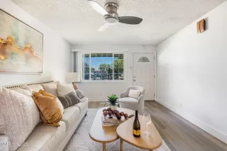 Photo #1: 250056243 Listing