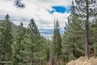 Photo #5: 250056680 Listing 