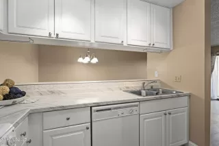 Photo #1: 250057283 Listing 