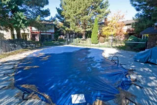 Photo #2: 250057680 Listing