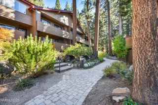 Photo #2: 250057739 Listing 