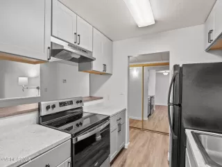 Photo #4: 250057851 Listing 