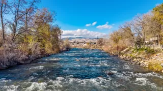 Photo #2: 250058418 Listing