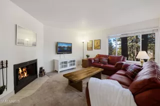 Photo #2: 250058470 Listing 