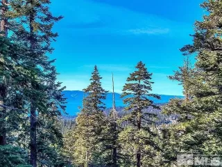 Photo #3: 250058530 Listing