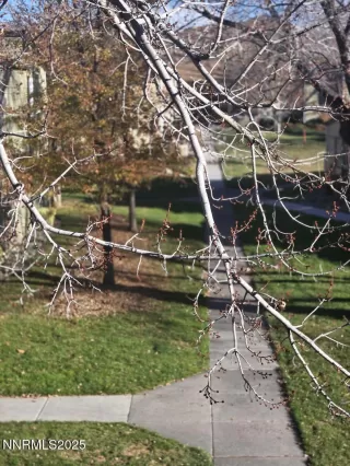 Photo #5: 250058793 Listing 