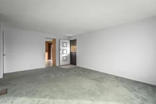 Photo #5: 250058797 Listing 