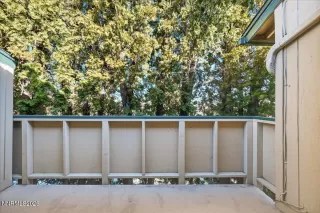 Photo #6: 260001422 Listing 