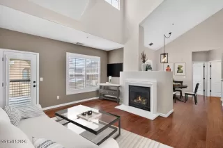 Photo #1: 260001872 Listing 