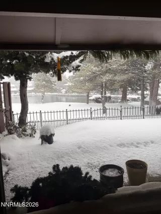 Photo #3: 260001914 Listing 