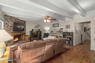 Photo #1: 260002559 Listing 