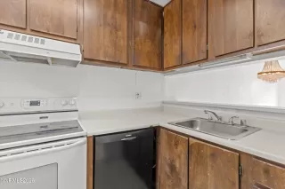 Photo #5: 260002772 Listing 