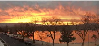 Photo #1: 260002853 Listing 