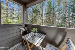 Photo #1: 260003614 Listing 