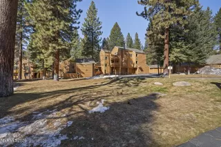 Photo #1: 260003633 Listing 