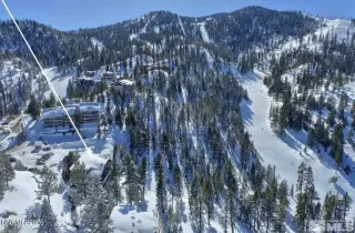 Photo #1: 260003932 Listing 