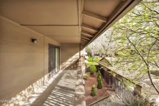 Photo #1: 260004058 Listing 