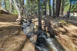 Photo #2: 260004518 Listing 