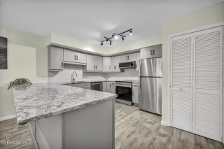 Photo #6: 260004787 Listing 