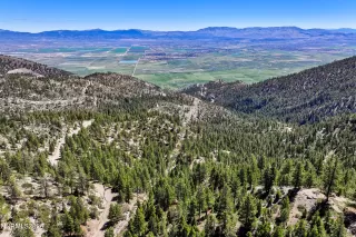 Photo #3: 260005080 Listing 