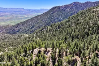 Photo #4: 260005080 Listing 