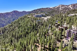 Photo #5: 260005080 Listing 