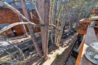 Photo #6: 260005134 Listing 