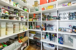 Photo #5: 260005525 Listing 