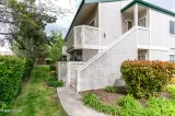 Primary Photo for MLS#: 260005627